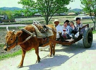 사리님의 프로필