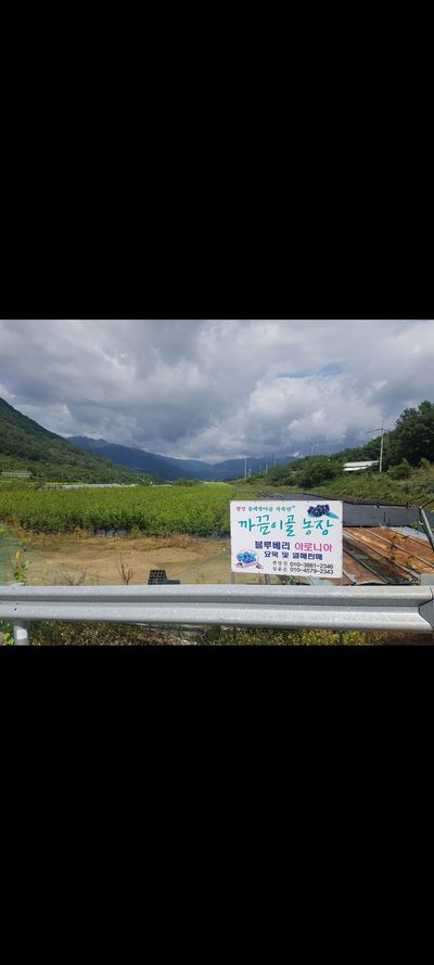 까끔이골농님의 프로필