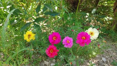 구곡리님의 프로필