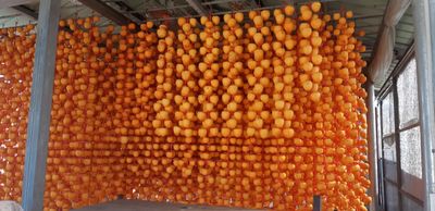 반야심(김숙자)님의 프로필