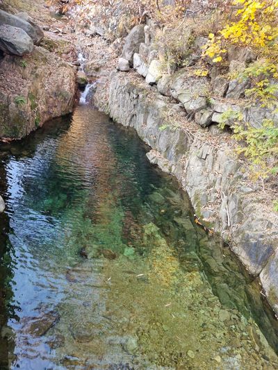 소나무둥지님의 프로필