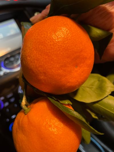 리치~님의 프로필