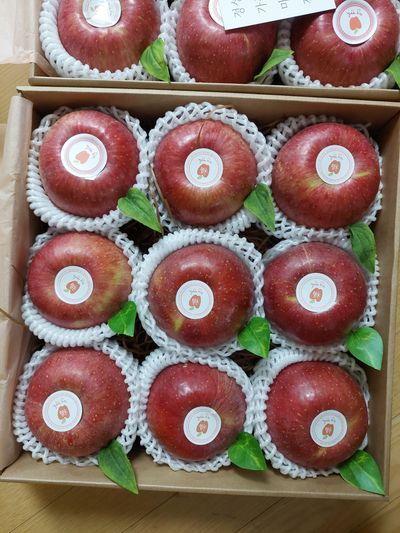 트라이애플1님의 프로필