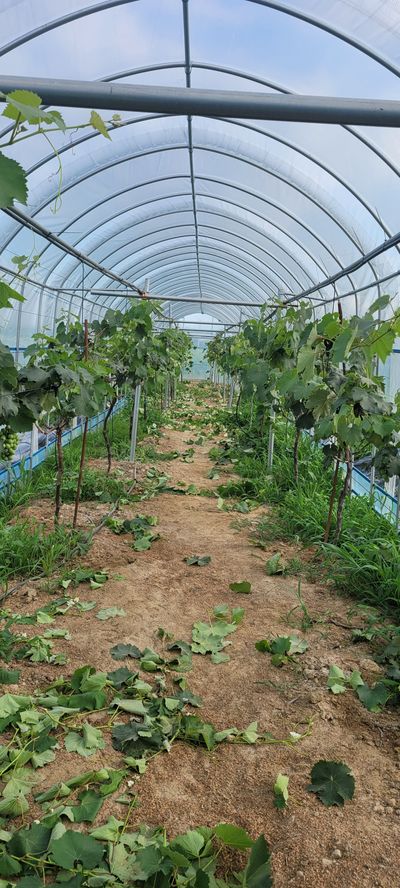 권정회님의 프로필