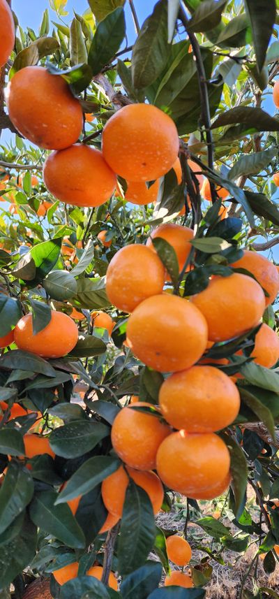 조현기 님의 프로필