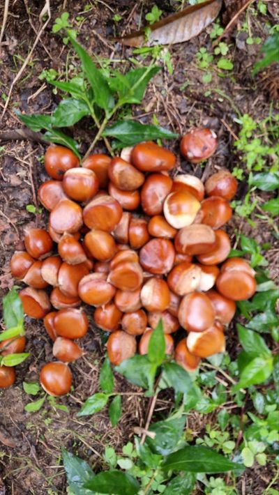 순창군 가라울님의 프로필