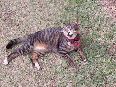 네티님의 프로필