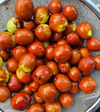 마이보이님의 프로필