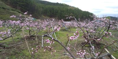 해송님의 프로필