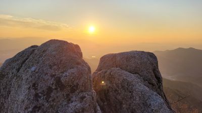 행복하자님의 프로필