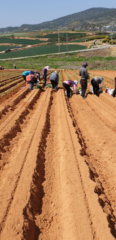 강행원님의 프로필
