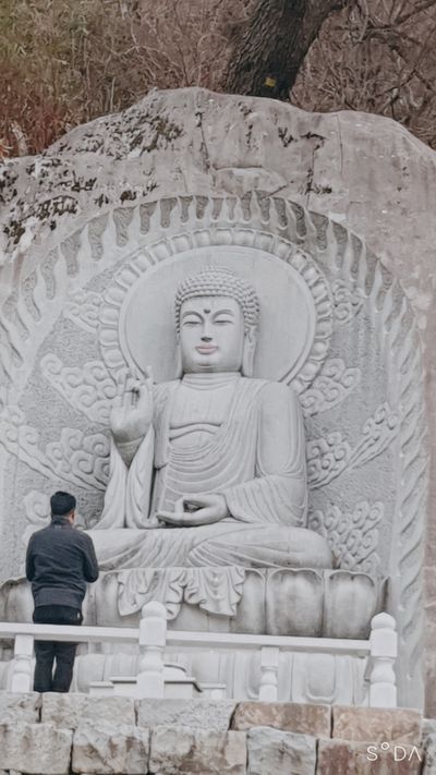 시호바라기님의 프로필