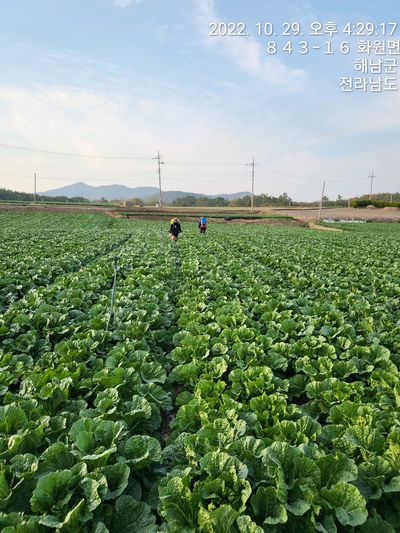 양파17806님의 프로필