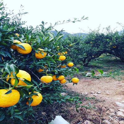 오세준님의 프로필