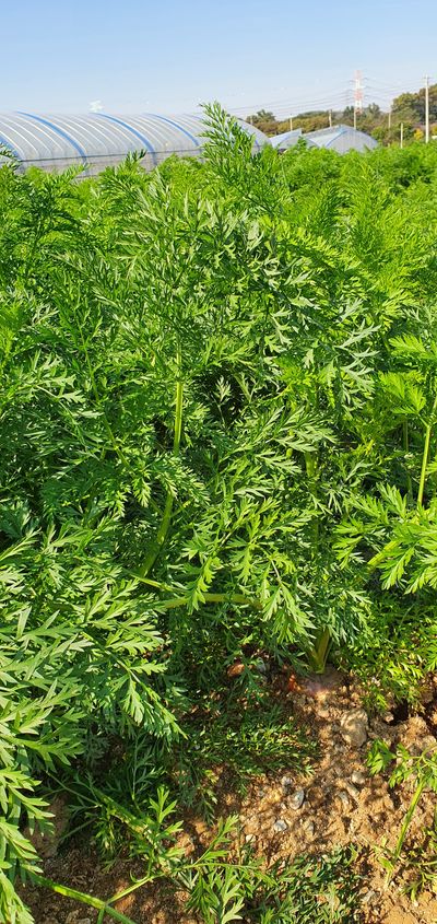 국희농원님의 프로필