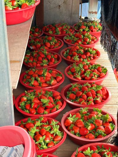 딸기12159994님의 프로필