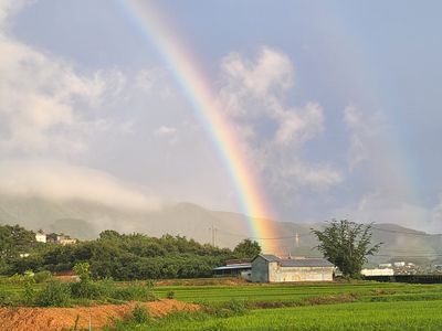 일곱색깔무지개님의 프로필