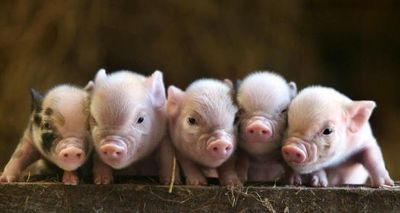 구준회(록범)님의 프로필