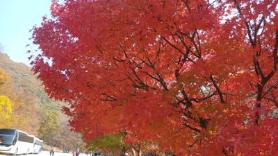 계속흐르는시간님의 프로필