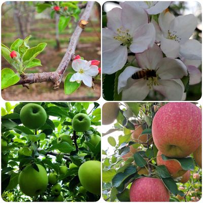 하루마미님의 프로필