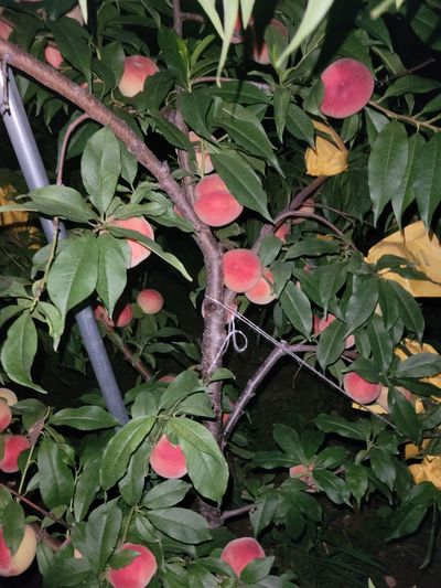 초록땅심1210님의 프로필