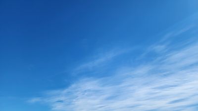 장하 표고버섯님의 프로필