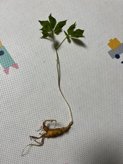 박성순님의 프로필