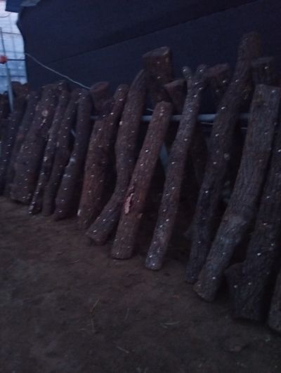 벼19250님의 프로필