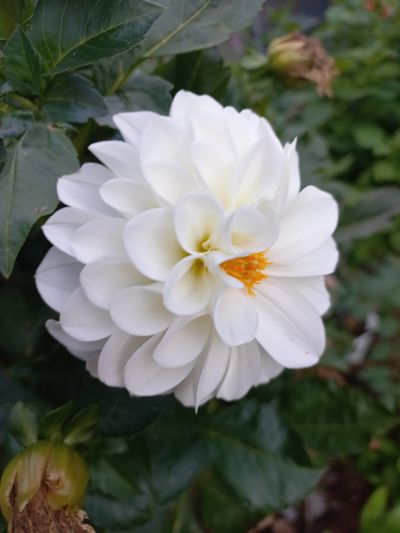 고추19645님의 프로필