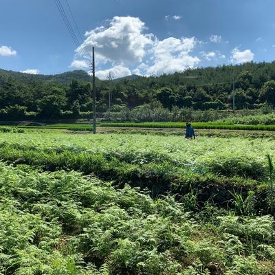 이명선님의 프로필