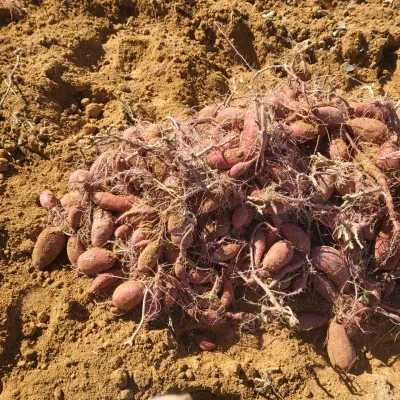 무거운말버르님의 프로필