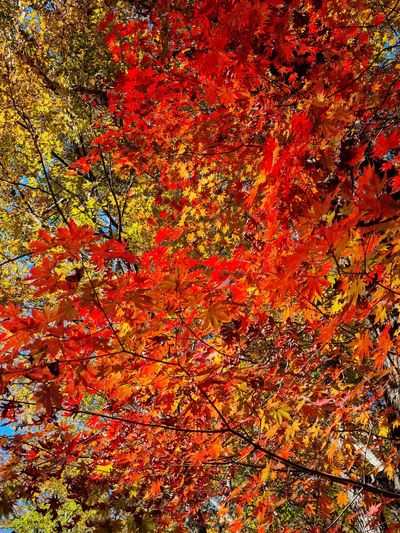 참깨21300님의 프로필