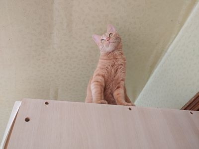 콩21592님의 프로필