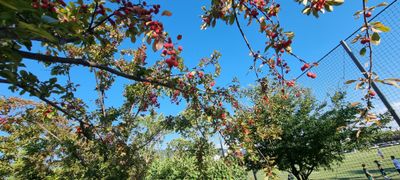 농사짓는신여사님의 프로필