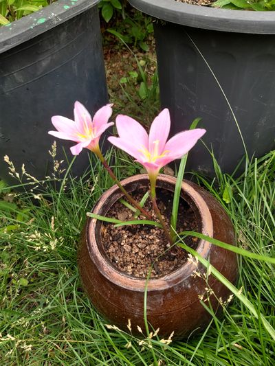 명표고버섯님의 프로필