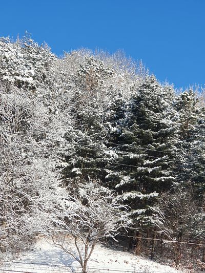강영미 님의 프로필