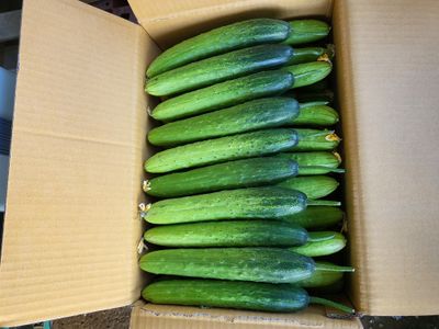 서정애님의 프로필