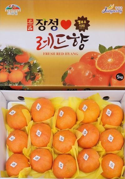 황선하님의 프로필
