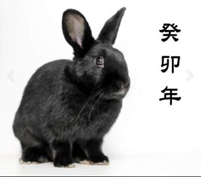 Enjoy_병산님의 프로필