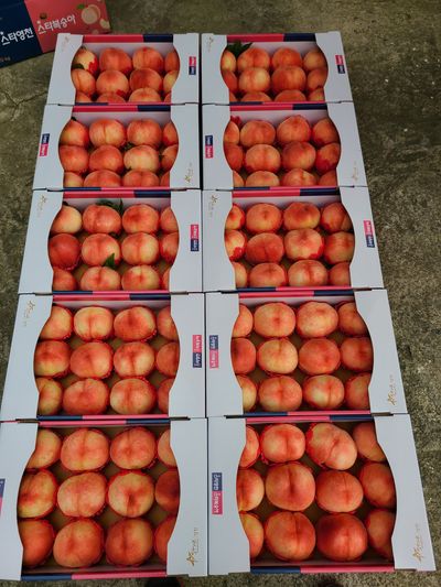 권순복 님의 프로필