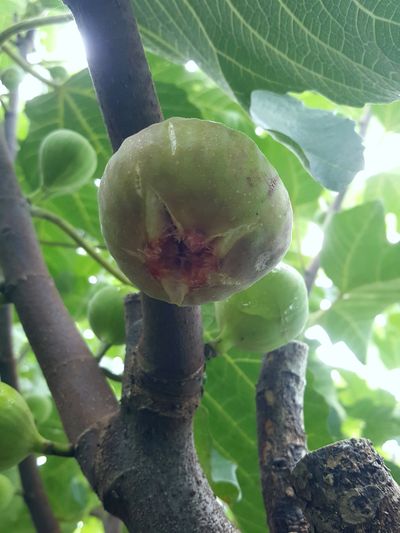 심수보님의 프로필