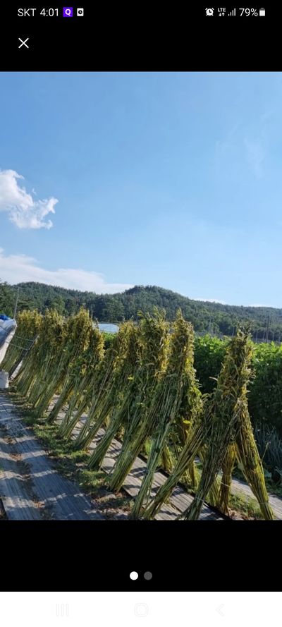 남연희님의 프로필