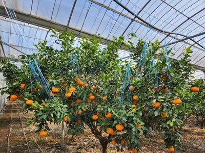 우현덕 님의 프로필