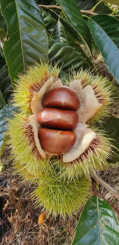 조한규(김효정)님의 프로필