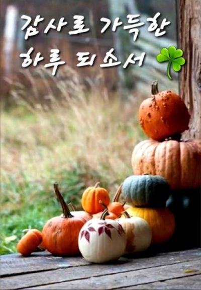 박병욱님의 프로필
