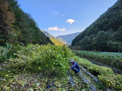 평창농부님의 프로필