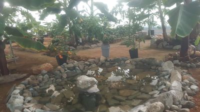 대성농장님의 프로필