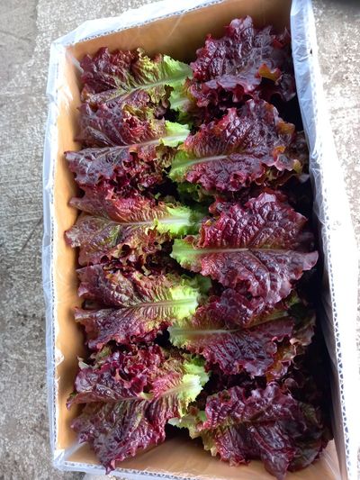 강만철님의 프로필