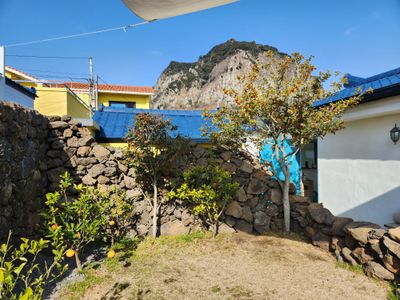 호이고구마님의 프로필