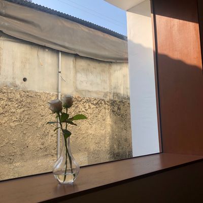 양배추25644님의 프로필